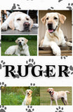 Pet Photo Sherpa Blanket/Throw