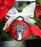 Christmas Tree Ornament Pet Portrait