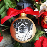 Christmas Tree Ornament Pet Portrait