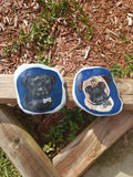 Pet Portrait on Rock.