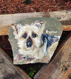 Pet Portrait on Rock.