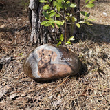 Pet Portrait on Rock.