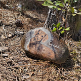Pet Portrait on Rock.