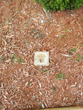 Gravestone Marker RIP Pet Portrait 6x6