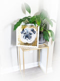 Fancy Gold Pet Portrait 12x12
