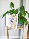 Fancy Gold Pet Portrait 12x12