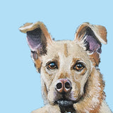 Pastel Pets Pet Portrait - Easter Gift