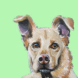 Pastel Pets Pet Portrait - Easter Gift