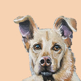 Pastel Pets Pet Portrait - Easter Gift