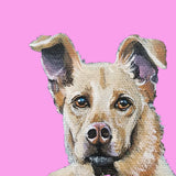 Pastel Pets Pet Portrait - Easter Gift
