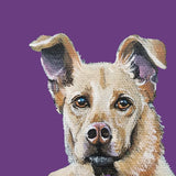 Pastel Pets Pet Portrait - Easter Gift