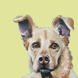 Pastel Pets Pet Portrait - Easter Gift
