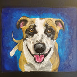 Perfect size Pet Portrait 10x10