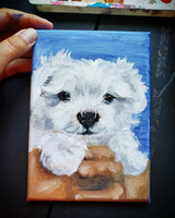 Perfect size Pet Portrait 10x10